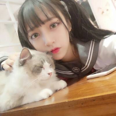 雄图霸业无限元宝版下载